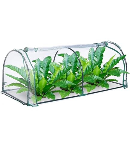 Garantia Sunny 645061 Campana Per Piante Protettiva – Diametro 35 Cm, Altezza 30 Cm, Con Ancoraggi A Terra E Aperture Per L'Irrigazione, Trasparente - 5