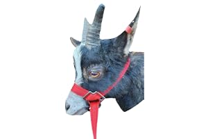 Goat or Sheep Halter (Red)