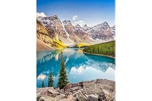 LAISLLA Pintura por Números para Adultos, DIY Pintura por Números, Kit de Pintura al óleo de Lienzo para con Pinceles Sin Marco 40X50 CM