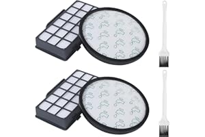 DUBUOZA 2Lot Filtres pour Rowenta X-Trem Power Cyclonic RO69xx RO72xx,Filtre de Rechange Accessoires ZR006001,Filtre Aspirateur pour Rowenta Silence Force Cyclonic RO6962 RO6963 RO6971 RO6984