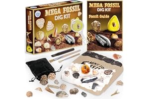 Science Kidz Mega Fossil Dig Kit - Excavate 20 Genuine Prehistoric Fossils, Fossil Hunting Kit For Kids, Educational STEM Science Kits, Fossil Digging & Excavation Toy