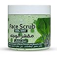 ECOLYTE+ Disinfectant La Parisienne Face Scrub, Deeply Exfoliates, Reveal Smooth & Beautiful Skin, Exfoliating Scrub, Facial Exfoliant, Moisturizing, Glowing Skin - (Cool Mint, 500 ml)