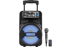 Cefa Toys- Altavoz portátil Bluetooth con micrófono, Control Remoto, bateria Recargable, iluminación led, reproducto mp3 USB, asa telécopica y Ruedas, 100 vatios.