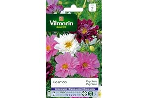 Vilmorin 5248142 Pack de Graines Cosmos Psyché Varié