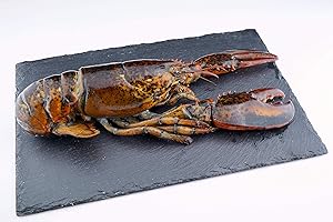 ‎SEPEHR DAD CAVIAR Sepehr Dad Hummer ganz, roh | Tiefgefroren, High Pressur | MSC zertifiziert | 450g