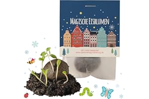 Ideenverlag HAMBURG 10x Winterlandschaft Winter Samenbomben/Treiben aus bei Kälte/kleine Geschenke Kollegen Saatbomben Gäste Gastgeschenk Kinder Dankeschön Kleinigkeiten