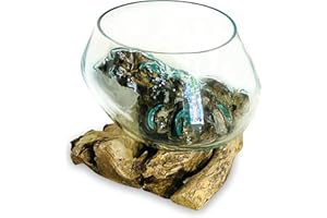 MAISONICA 20-24cm Glass Bowl - Molten Glass & Teak Wooden Root - Unique - Fruit Nuts Pot Pourri