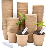 LATERN 100Pcs 8cm Biodegradable Fiber Seed Pots for Seedlings and Transplants with 100pcs Plastic Plant Labels (White 5x1cm)