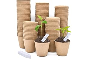 LATERN 100Pcs 8CM Biodegradable Fibre Seed Pots for Seedling and Transplanting with 100Pcs Plastic Plant labels (White 5cm x1cm)