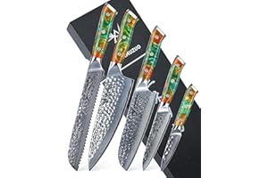 SANMUZUO 5 Pezzi Set Di Coltelli Da Cucina Professionale - Forgiato 67 Strati Damasco in Acciaio e Resina Maniglia - Serie YAO