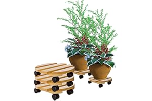 BigDean 3x Pflanzenroller rund Buchenholz massives Holz 30 cm bis 120 Kg Rolluntersetzer