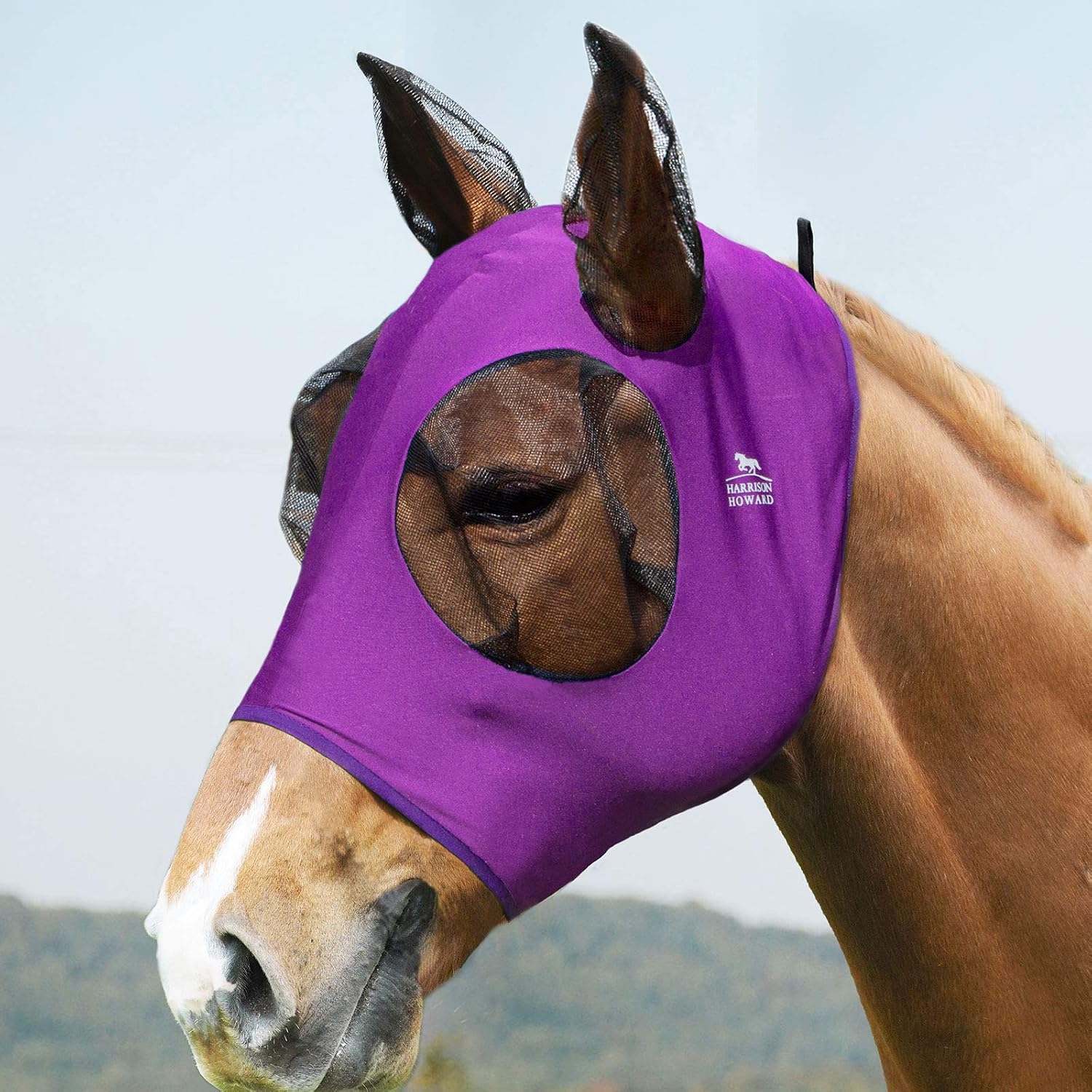 Harrison Howard Super Comfort Stretchy Fly Mask Large Eye Space with UV Protection Soft on Skin with Breathability for Horse-Amethyst