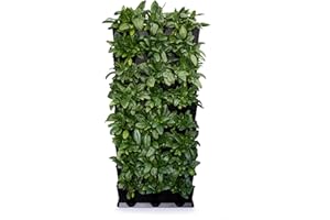 minigarden Vertical Kitchen Garden para 24 Plantas, Jardín Vertical Modular y Extensible, Incluye el Kit de Riego por Goteo, Colocar en el Suelo o Colgar en la Pared (Negro)