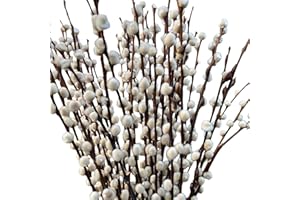 Airboom frischer natürlicher WEIDENKÄTZCHEN Bund 70cm. Hochzeitsdeko Osterdeko Frühlingsstrauß (3)