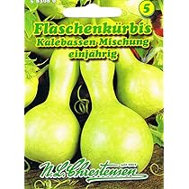 Ciieeo 2 Stück Getrocknete Kalebassen - Natürliche Flaschenkürbis Deko Für Zuhause