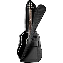 Yamaha F-310 ヤマハ＋ Gator製ギグケース