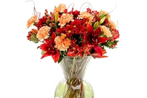 Sendabunch A Winters Wish Fresh Flowers Bouquet - Rich in Red and Orange Carnations, Chrysanthemums & Alstromeria with Seasonal Foliage - 10 Day Freshness Guarantee