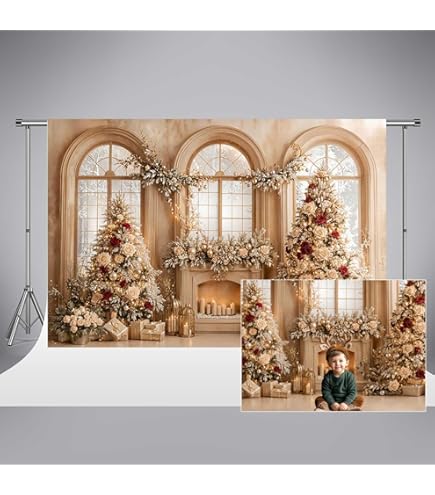 Kate Toile De Fond De Noël Pour Photographie 3 X 2 M - Toile De Fond