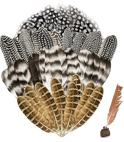 Bogoro Plumes Naturelles 50 Pcs Naturelles Plumes Assortiment Plumes Artisanales Pour DIY Boucle D'oreille Ailes Dream Mariage Maison Décoration Partie,Carnaval Fêtes