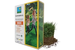 BARENBRUG - Gazon Ombre et Soleil - Performant en Conditions Ombragées - Adapté aux Zones Ensoleillées - Fin et Dense - Pour Végétaliser des Petits Jardins Urbains - Fabriqué en France - 3KG