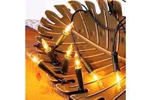 ‎HELLUM Hellum Lichterkette innen, Weihnachtslichter, 20 warme, helle Lampen, beleuchtete Länge 2,85m, Kabelfarbe grün, 832013