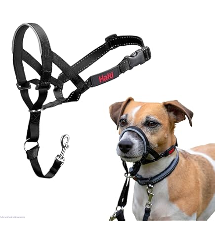 2 Pack Kerst Hondenhalsband Met Vlinderdas, Kerstman En Kerst Sneeuwvlok Halsband Stijl 1 Stijl 2