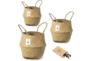 SEED Cesto Mimbre + Semillas de Regalo - Cesta Maceta Decorativa Interior - Cesta Mimbre Para Plantas, Macetero Decorativo, Cubre Macetas Decorativas Interior, Juguetes, Ropa, Fruta (Pack 3 S+M+L)