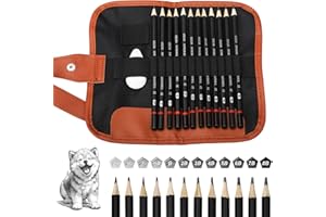 ORCHIDEEKNC 12 Piezas Lápices de Dibujo, con Estuche Enrollable y Goma de Borrar, Lápices de Boceto 2H H F HB B 2B 3B 4B 5B 6B 7B 8B, Juegos de Dibujo para Artistas, Adultos, Dibujos, Amantes del Boceto