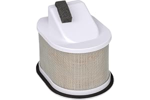 Altamejor Filtro aria per Kawasaki Z750 ZR750 2004-2012 / Z750 R ZR750 2011-2012 / Z750 S ZR750S 2005-2009 / Z800 2013-2016 / Z1000 ZR1000 2003-2009