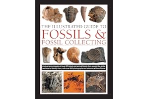 Fossils & Fossil Collecting, The Illustrated Guide to: A reference guide to over 375 plant and animal fossils from around the globe and how to identify them, with over 950 photographs and artworks
