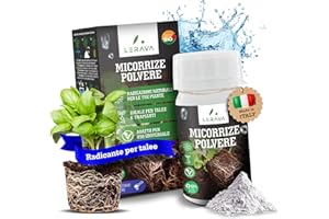 LERAVA® Mycorhize en Poudre 4x50g – Champignons Mycorhiziens Naturels – Enracinement Boutures, Orchidées – Engrais Bio Soluble Plantes Intérieur Extérieur Jardin Culture Hydroponique