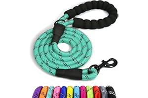 Taglory Correa de Perro, Correa de Fuerte de Perro para Perros Medianos y Grandes con Mango Acolchado Suave y Hilos Reflectantes, 1.8 m x 1.2 cm, Turquesa