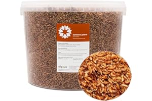 algova Gammarus camarones Secos de Agua Dulce - alimento para Peces Peces de Estanque Peces koi - alimento para Tortugas Reptiles y Pollos 10L = 1,2kg