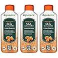 Wellwith by Ayuzera Himalayan Sea Buckthorn Berry Pulp 300ml | Plant Based Vegan Omega 3, 6, 7 & 9 | No Fish Oil | Natural & Organic | Upto 50 Glass Juice | Antioxidants & Vitamins (300ml, Pack Of 3)