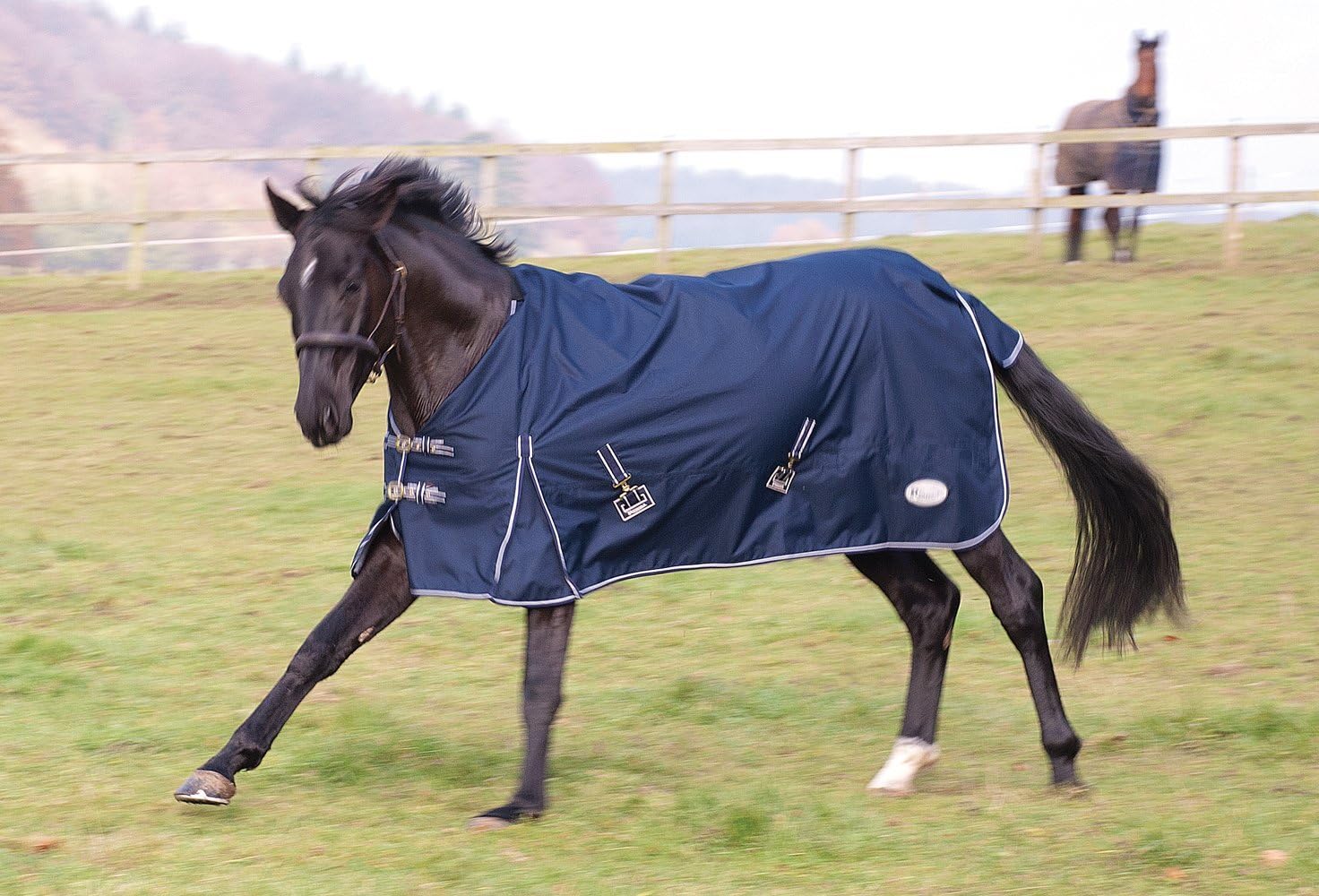 Rhinegold Torrent - Alfombra para Exteriores, Grande, Negra, Impermeable, Material Encerado, poliéster/Nailon, Caballo, Abrigo al Aire Libre, Razas Grandes, más de 50 Libras, Primavera, otoño