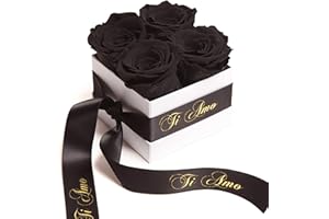 ROSEMARIE SCHULZ Heidelberg Rosenbox mit Infinity Rosen in Schwarz konservierte Blumen Valentinstagsgeschenk der Liebe für für Sie (Ti Amo, Schwarz)