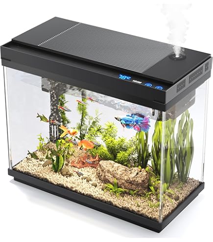 ADA Japan Cube Garden Nature Aquarium Glass Tank (W60 x D30 x