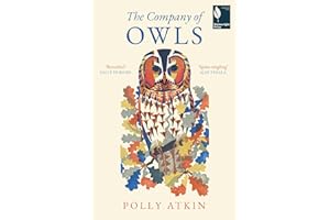 The Company of Owls - The perfect stocking filler the bird lover in your life