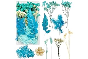 Slvoaujtk Flores Secas Manualidades Flores Preservadas Naturales Flores Secas Decorativas Flores Prensadas Secas Naturales para Marco de Foto DIY Decoración Artesanal (Azul)