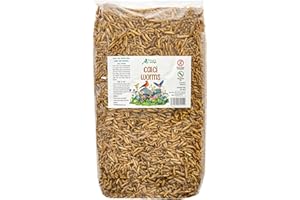 HUNGRY WINGS Premium Wild Bird Food 5L Refill, (5L Bag, Calci Worms)