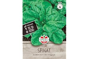 SPERLI Premium Spinach Matador | Lap Resistant Variety | High-Yielding Vitamin Rich and Fast Growing | Seed-proof Seeds | Approx. 800 Spinach Seeds