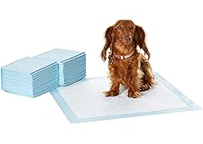 Amazon Basics Dog and Puppy Training Pads, Leakproof, 5-Layer Design with Quick-Dry Surface, Regular, Pack of 50, Blue