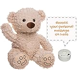 personalised talking bear