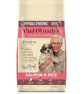 burgess salmon and rice