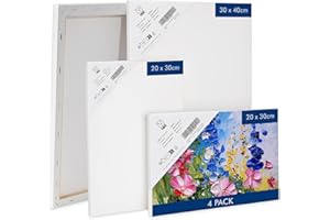 H&S Lienzos en Blanco para Pintar Acrilico y Óleo - Set de 4 - Lienzo Tela Blanca de Algodón en un Robusto Marco de Madera de Pino - Dos Marcos de 20x30cm y 30x40cm c/u