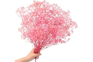 SONGJUM Dried Baby's Breath Flowers Bouquet Natural Dried Flowers Baby's Breath Real Gypsophila Branches for Wedding Table Vase Party Garden DIY Wreath Floral Home Decor（Pink）