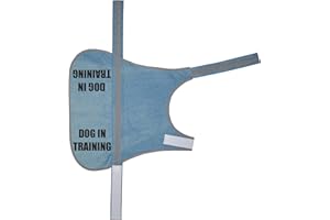 Flexi-Print Dog In Training Dog Vest - Personalised Dog Hi Vis Vest Reflective Dog Coat, Service Dog Vest, Nervous Dog Products, Dog Hi Viz, Reactive Dog Warning, Dog Training Vest