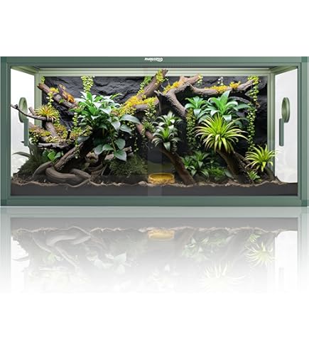 Exo Terra Terrarium en Verre avec Ventilation Frontale Unique, 30 x 30 x 60 cm, également utilisable comme paludarium