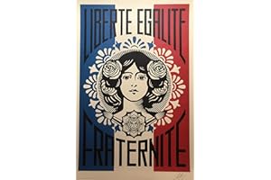 Impression originale de « Liberté, Égalité, Fraternité » par Shepard Fairey