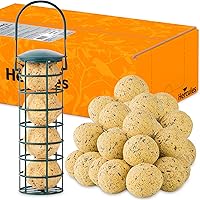 zooprinz Neue Meisenknödel ohne Netz – Perfekt für alle Vögel als Ganzjahresfutter – Mit praktischem Meisenknödelhalter…